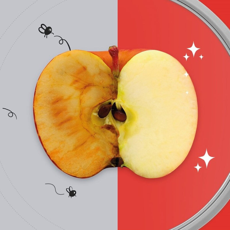 DeliOne FlexiLid 食物密存套件 - 8個裝