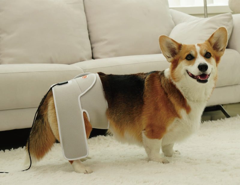 Cirius Pet Warm Cape-Pro Near Infrared (NIR) Joint Therapy Belt
