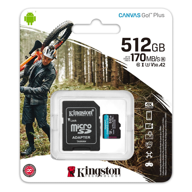 KINGSTON 金士頓 Canvas Go!Plus microSD 256GB 記憶卡