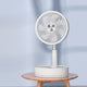 Proluxury PFF600100 Wireless DC foldable & extendable Fan