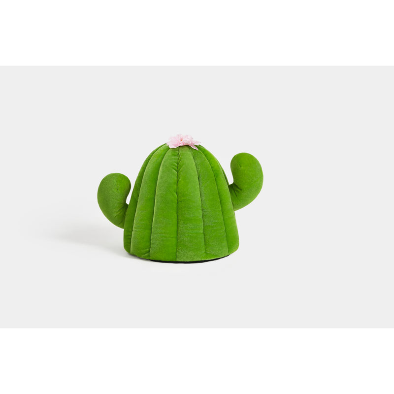 Vetreska Oasis Cactus Pet Bed