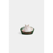 Vetreska 未卡西瓜樂樂藤窩