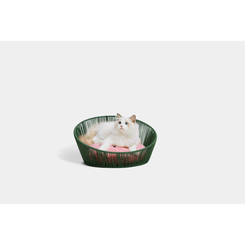 Vetreska WATERMELON RATTAN PET BED