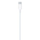 APPLE USB-C to Lightning Cable (2 m)
