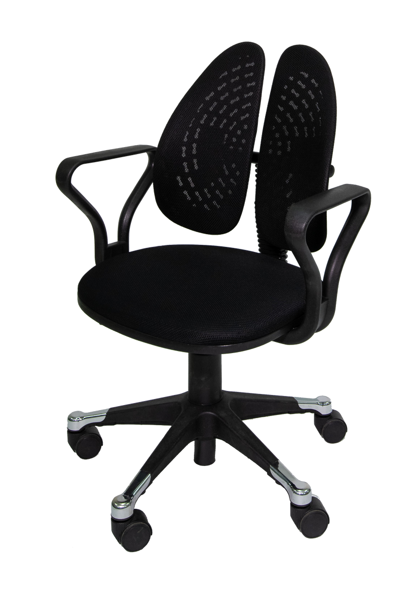 Bodycare Twin Back Chair (Small Size)