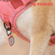 PAWAii 寵物ID Tag 防走失吊牌