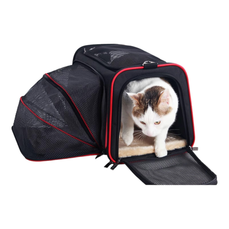 Petsfit 高質三用擴展式寵物手提袋外出貓袋 S碼