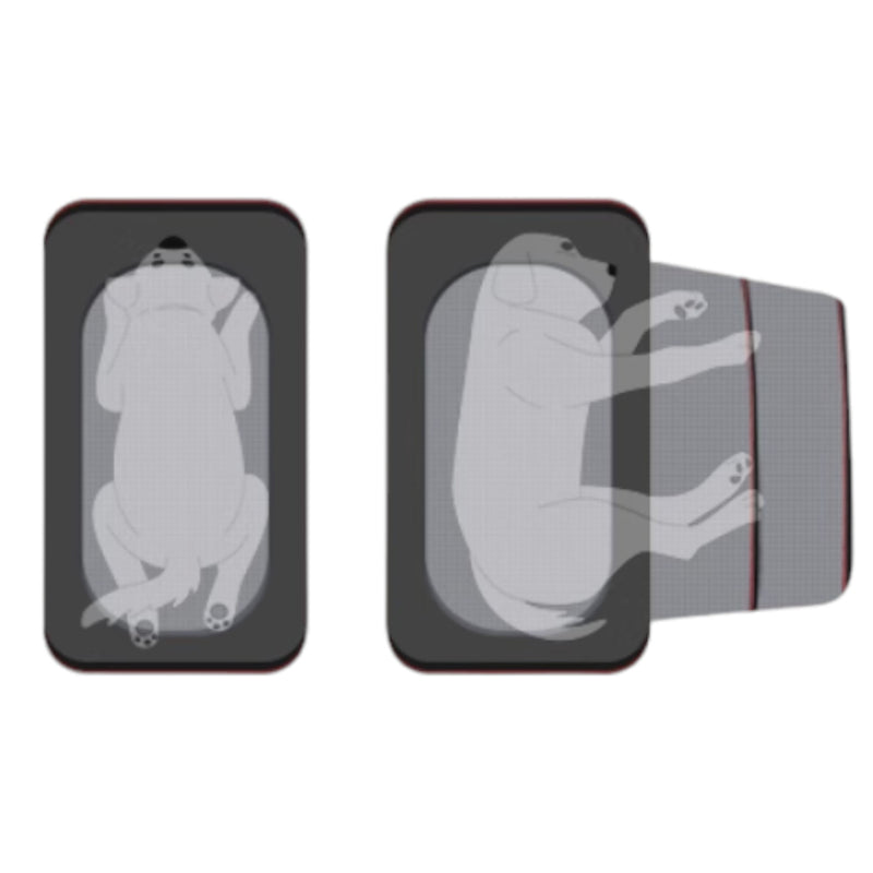 Petsfit 高質三用擴展式寵物手提袋外出貓袋 L碼