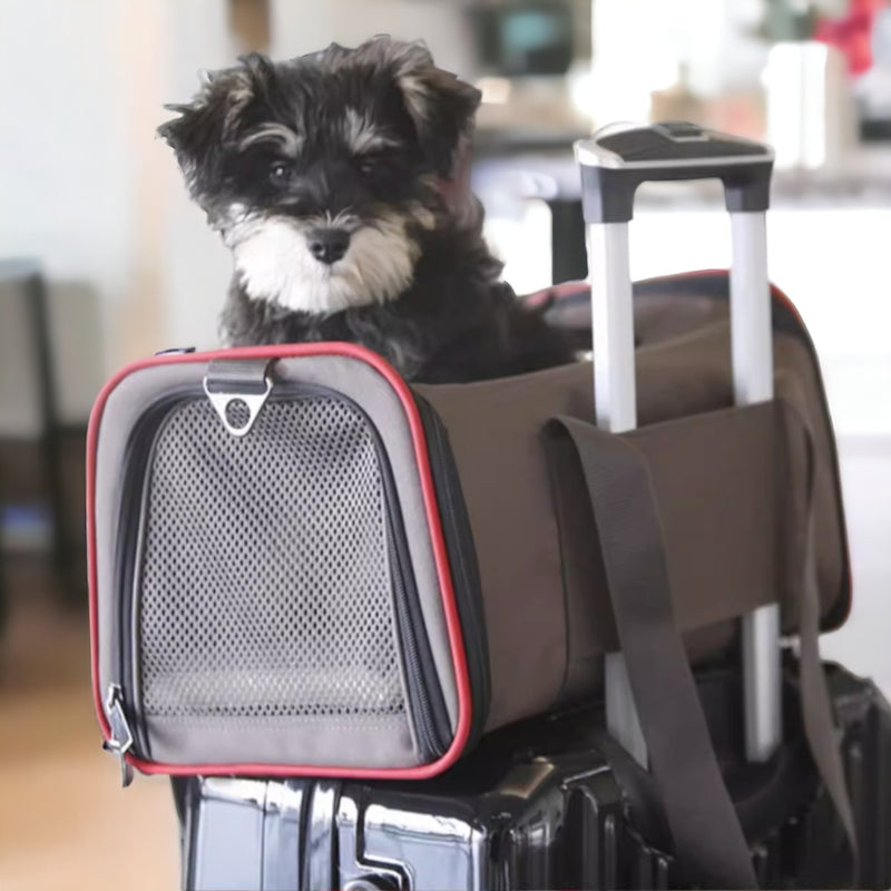 Petsfit 高質三用擴展式寵物手提袋外出貓袋 M碼