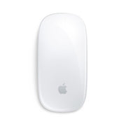 APPLE Magic Mouse (USB-C) - Multi-Touch Surface