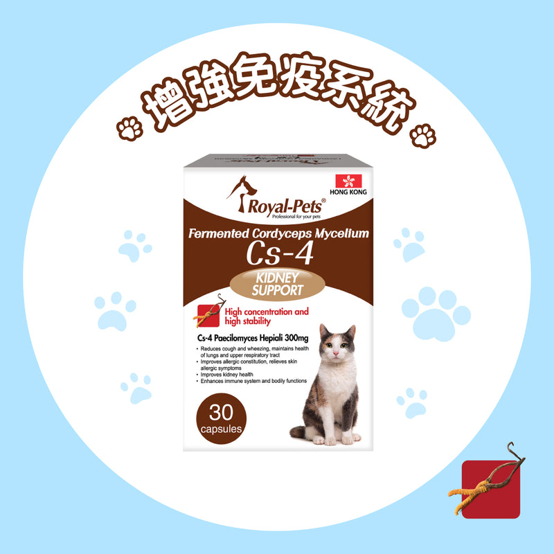 Royal-Pets 貓用發酵蟲草菌絲體Cs-4 30粒膠囊裝