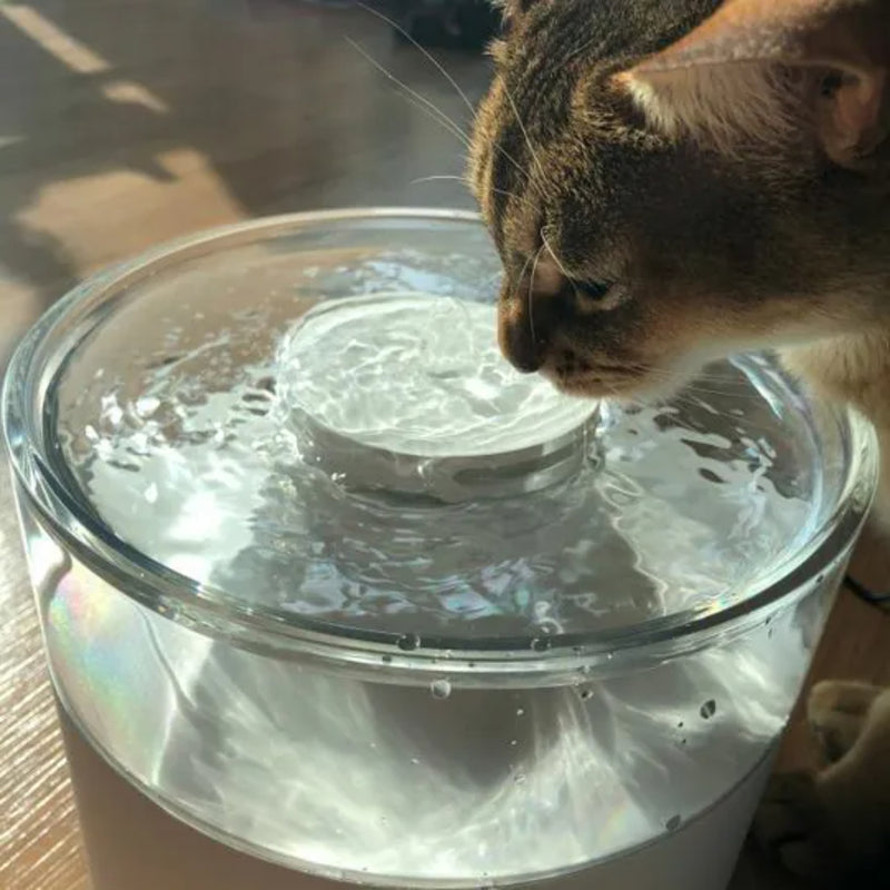 duit water pot