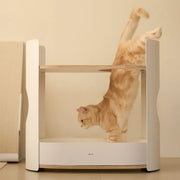 duit all day rack Scratcher Toy