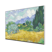 SKYWORTH 創維 LN8900G 4K QLED FRAME+ TV