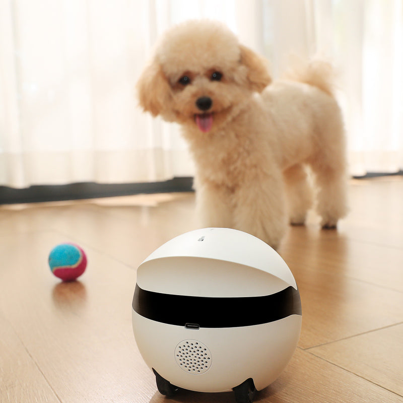 Enabot ROLA Mini