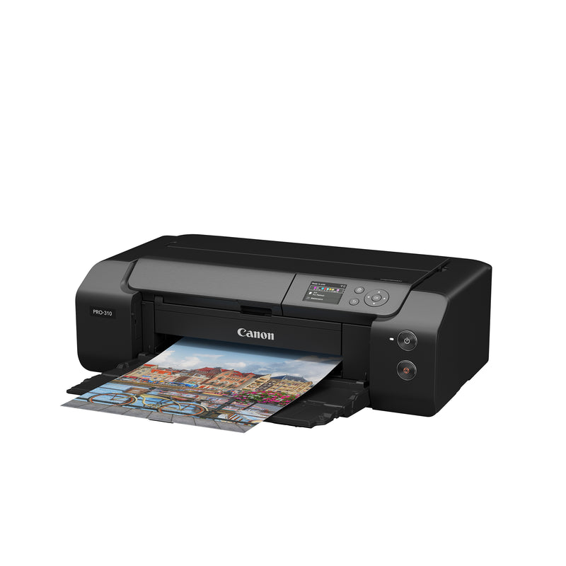 CANON 佳能 imagePROGRAF PRO-310 A3+專業10色黑白相片 打印機