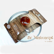 Mini Concept MC-7439MMP-SS 18cm Glass Cover