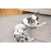 Cirius Pet Warm Pad Near Infrared (NIR) Joint Therapy Belt