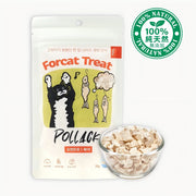 Dr Felis Forcat treat Pollack