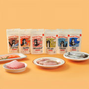 Dr Felis Forcat treat Chicken breast