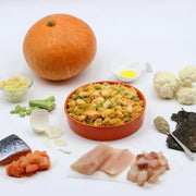 Furri food 低敏鴨肉枸杞抗炎餐