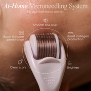 Project E Beauty The Derma Roller  鈦合金0.25mm微針滾輪(540微針頭)