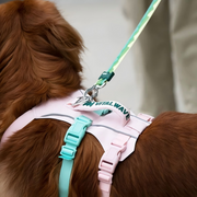 VITAL WAVE FeatherGrip Pet Harness