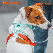 VITAL WAVE FeatherGlow Pet Harness