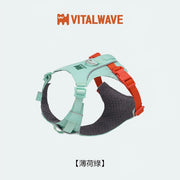 VITAL WAVE FeatherGlow Pet Harness