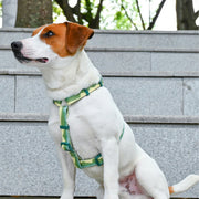 VITAL WAVE Gradient Peaks H-shaped Pet Chest Strap