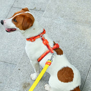 VITAL WAVE Gradient Peaks H-shaped Pet Chest Strap-ORANGE(M）