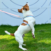 VITAL WAVE Gradient Peaks H-shaped Pet Chest Strap-PINK(M）