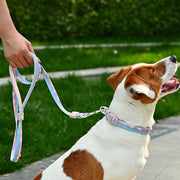 VITAL WAVE Gradient Peaks Leash