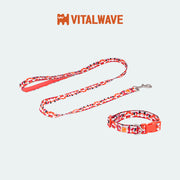 VITAL WAVE Diamond Gleam Collar & Dog Leash Two-Piece Set