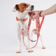 VITAL WAVE Diamond Gleam Collar & Dog Leash Two-Piece Set-RED(S)