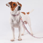 VITAL WAVE Diamond Gleam Collar & Dog Leash Two-Piece Set-PINK(M)
