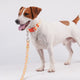 13999968-SIDE