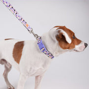 VITAL WAVE Diamond Gleam Collar & Dog Leash Two-Piece Set-PURPLE(L)