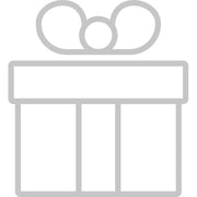 SAMSUNG 三星電子 Galaxy S21 FE 透明立架式保護殼 (透明) 代理贈品