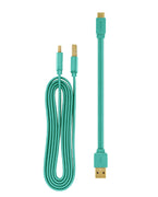 Pantone 20cm + 120cm Gold platted Typc C to Type A Cable