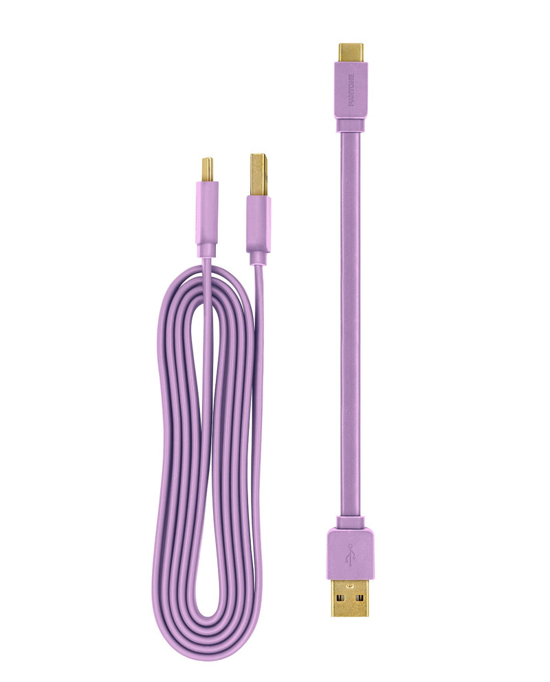 Pantone 20cm + 120cm Gold platted Typc C to Type A 接線