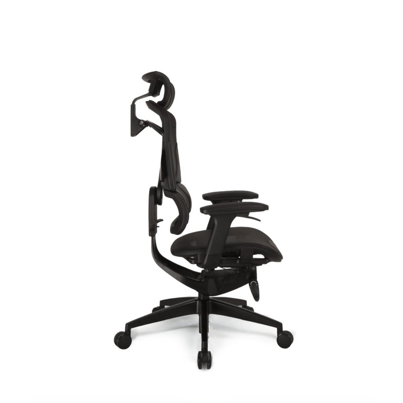 Zenox Nebula Office Chair