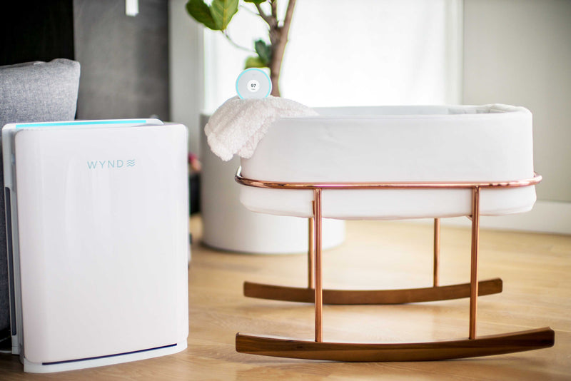 Wynd Max Purifier with Air Quality Monitor