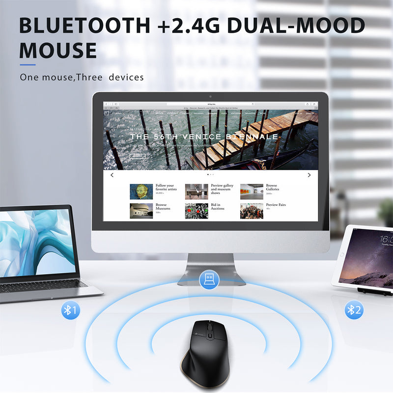 iClever MD172 Ergonomic Dual Wireless Bluetooth Mice