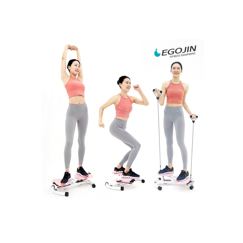 EGOJIN TWIST X Aerobic Workout Machine