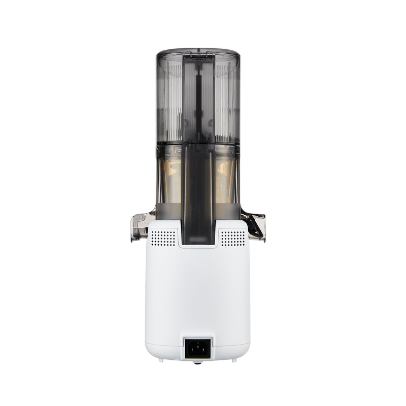 Hurom H310A-BGC04 Slow Juicer