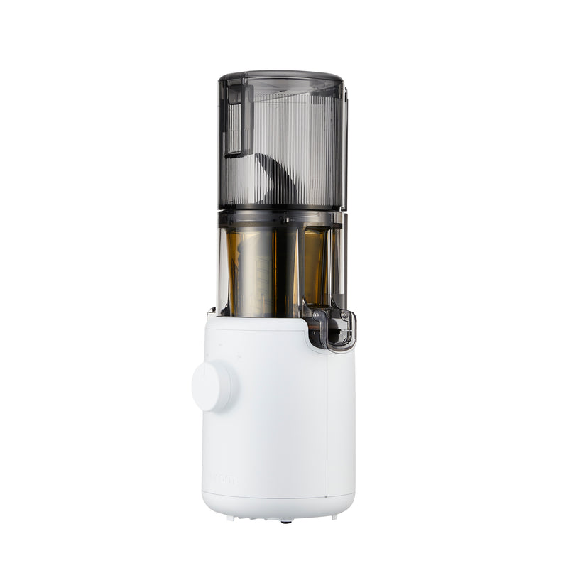 Hurom H310A-BGC04 Slow Juicer