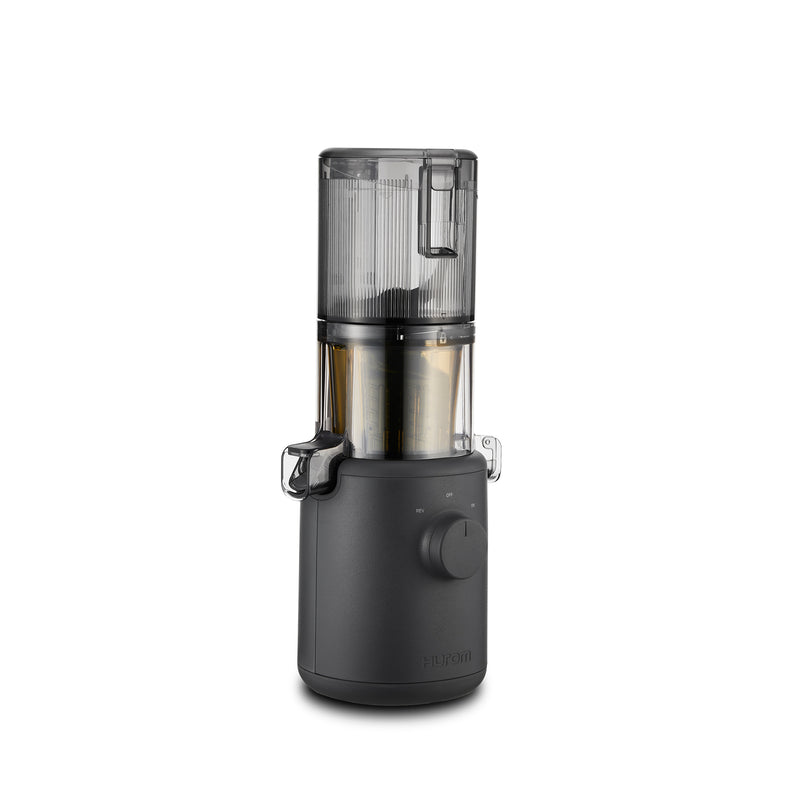 Hurom H310A-BGC04 Slow Juicer