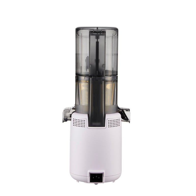 Hurom H310A-BGC04 Slow Juicer