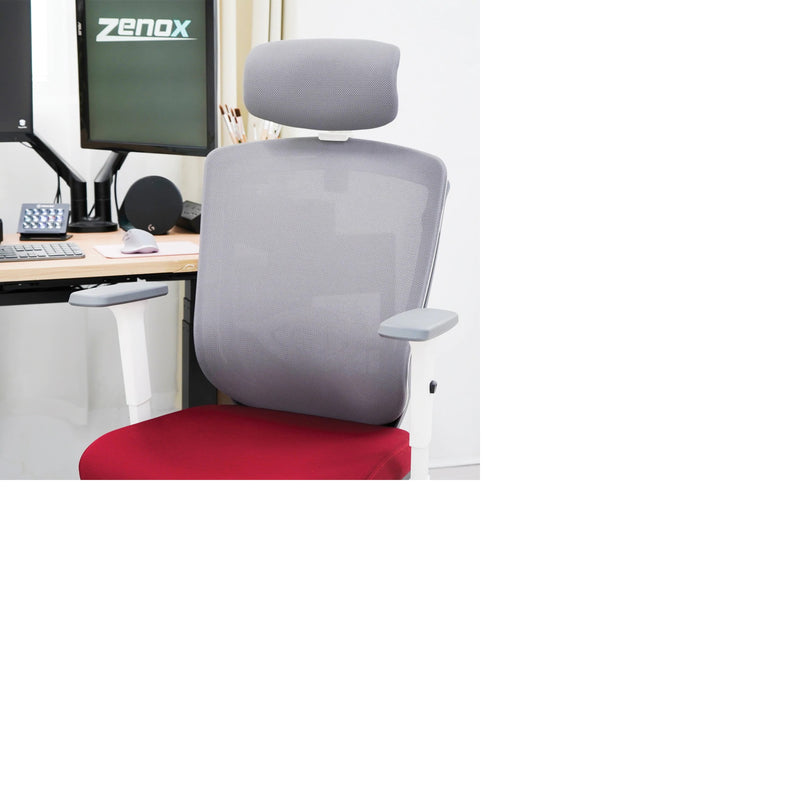 Zenox Zagen Series Office Chair